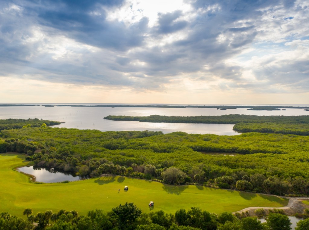 🏖️ Florida Golf Courses with the Best Views (You Can Actually&nbsp;Play)